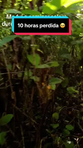 10 horas perdida🥺#perdida #bosque #asustada #miedo #sola