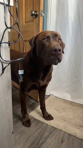 hello mom, your bathroom security has arrived 🫡