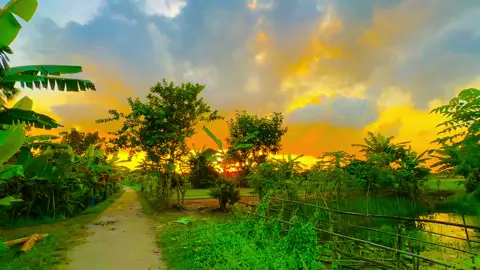 🥰🖤☺️#allahuakbar #alhamdulillah #insallahforyou #আবু_ত্বহা_মুহাম্মদ_আদনান #fyyyyyyyyyyyyyyyyyyyyyyyyyyyyyyyyyy 