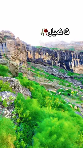 #ماشاء_الله_تبارك_الله #قەندیل #سەرشێخان #