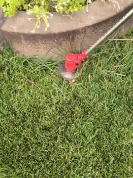 yardwork #yardwork #lawncare #sundayreset 