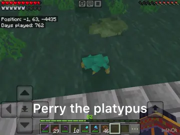 A platypus?….PERRY THE PLATYPUS!! #cute #game #addon #Minecraft #perrytheplatypus 