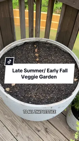 Buckle in for what is sure to be a series on what NOT to do when growing vegetables, but I’m gonna try anyways❤️🤣 I’m in zone 8a #vegetablegarden #veggiegarden #summergarden #fallgarden #myvegetablegarden 