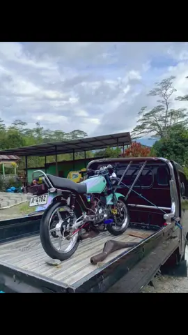 #rxkingblayer #timorleste🇹🇱🐊 #kafemoruk🍃☕️#masukberandafyp 