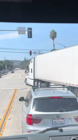 #indian #indiantruckdriver #trucker #truck #desi     
