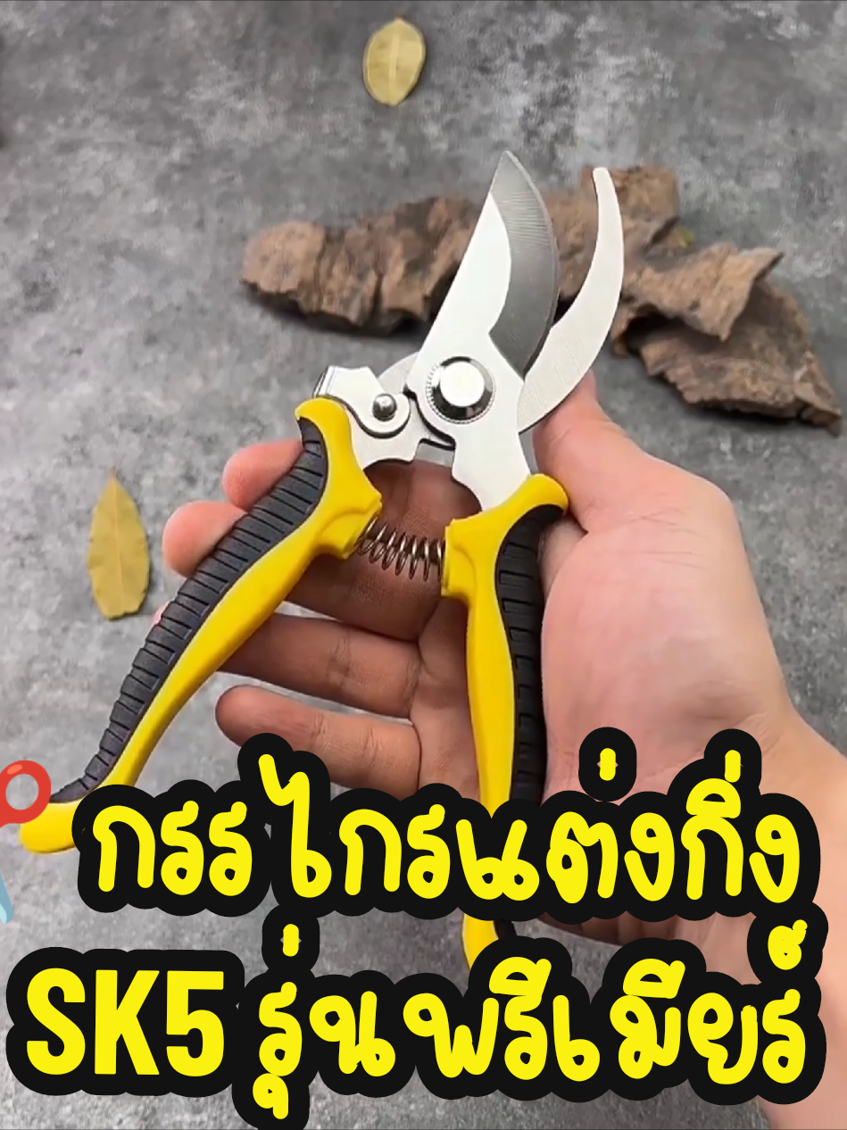 🌿 กรรไกรแต่งกิ่ง SK5 | ใบมีดคม ด้ามจับสบาย | ตัดง่าย ไม่เมื่อยมือ   > ลดแรง 55% เหลือแค่ ฿59 | รีวิวดี ยอดขายกว่า 19,000 ชิ้น! #กรรไกรแต่งกิ่ง   - #กรรไกรตัดกิ่งไม้   - #อุปกรณ์ทำสวน 