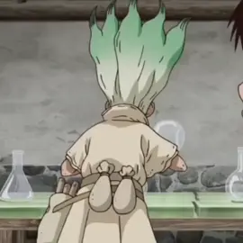 #senkuishigami #flypシ #fyp #докторстоун #drstone #сенку 