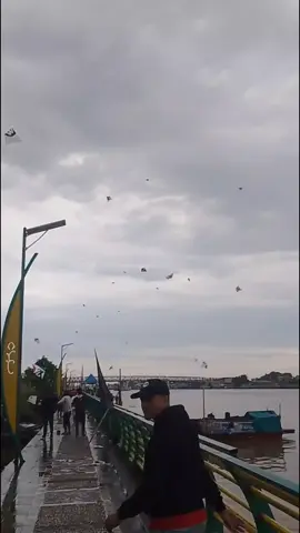 penoh🤣 #fypシ゚  #kelayangsambas  #semuaorang  #kelayangmempawah  #fypシ゚viral  #kelayangsingkawang  #kelayangsultanpontianak  #fypシ゚  #kelayangkalbar  #fyppppppppppppppppppppppp  #fypage 