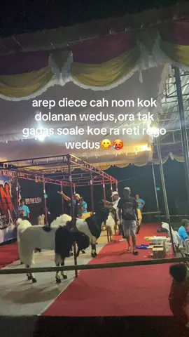 tau disepeleke mergo cah wedok dolanan wedus🤣#4u#kambingjantan#perernakmuda#kambingkontes#turgojayafram 