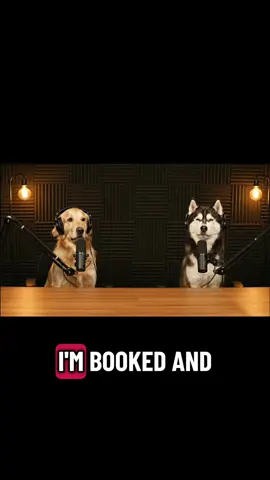 #dog #podcast #husky #bottle #pets 