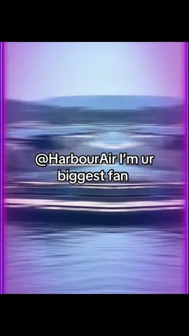 @Harbour Air plz dude comment 