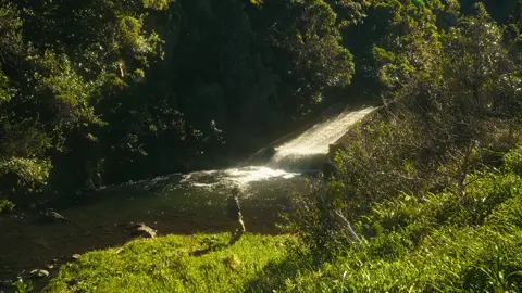 and maybe a little bit more time for yourself is all you need #cinematography #film #sonyalpha 