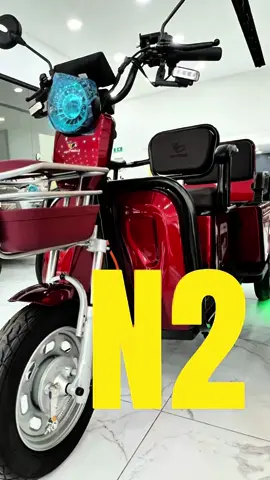 El N2 disponible en 4 colores distintos 😍 #fyp #puebla #honeywhale #trimotoelectrica 