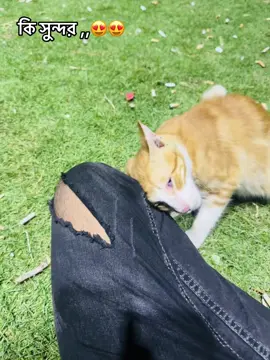 #CapCut #CapCut #pppppppppppppppp #capcut #fyp @🦋𝒂𝒃 𝑩𝒂𝒃𝒖 Jr.🦋 