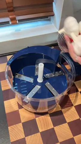 🧄 Peel garlic in seconds!  This electric garlic peeler saves you time & effort in the kitchen.  ✔️ Fast & hands-free peeling  ✔️ No mess, no smell on hands  ✔️ Compact & easy to clean  Do you use garlic in almost every dish? 🍲  👍🏻  #kimigadgets #KitchenHacks #cookinggadgets #garliclover #foodprep  