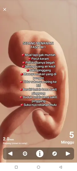 Sehering di TM 1 dong bun,  Baru ketahuan sudah usia 5 minggu ni bun 🥹 #hamil  #kehamilan  #trimester1  #ibuhamil 