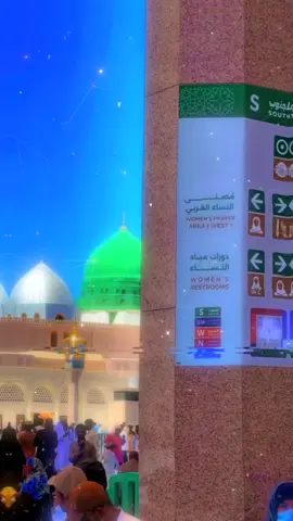 من ارض المدينة  .  .  #المداح #شهلان #الدليمي #صلوا_على_رسول_الله  #fypシ゚viral 