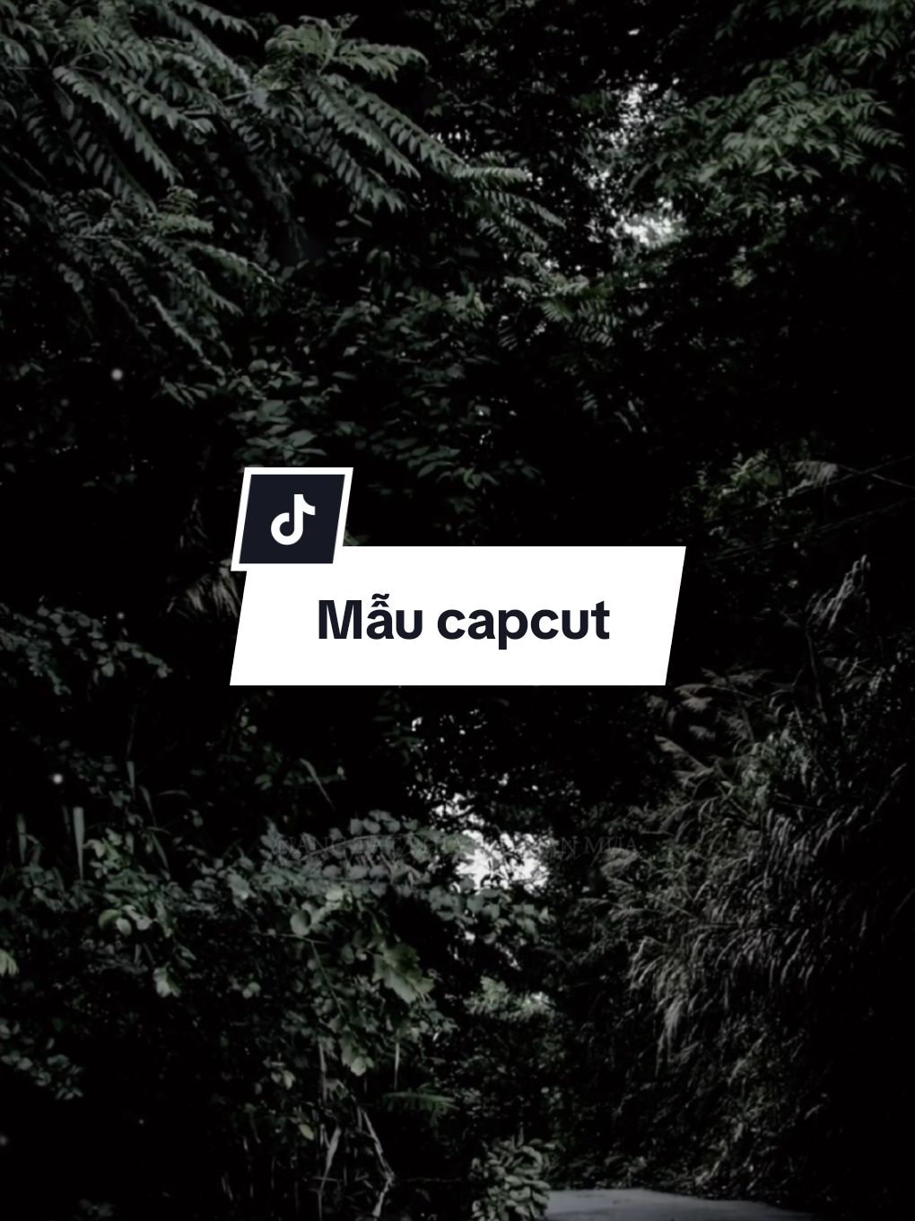 #CapCut Nắng tắt phía sau màn mưa #trumview #mauhaymoingay #hidengne #nhachaymoingay 