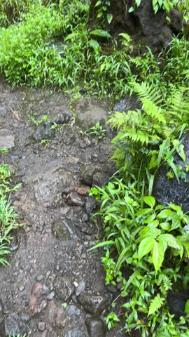 Bahan ngeprank koncomu bolo #airterjunkapasbiru #kapasbiruwaterfall #fyp #pronojiwo #fyppppppppppppppppppppppp 