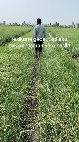 akeh sitik tetep di syukuri hasil e