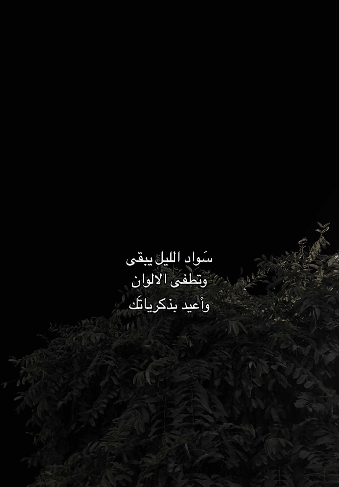 من فقدته ؟ #قوالب_تيك_توك_جديده #قوالب_تيك_توك #قالب_تيك_توك #قالب_تيك_توك_جديد 