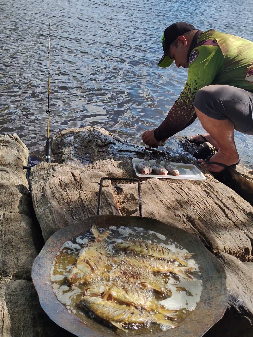 #pescaria  #tilapia #tucunare #brasil #fishing 