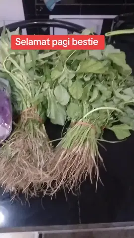 shopping haul. 😁😁 org2 shopping haul di. mall aku di pasar aja.. 🤣🤣 #balikpapan #fypppppppppppppppppppppp #sayuran #adayinmylife 