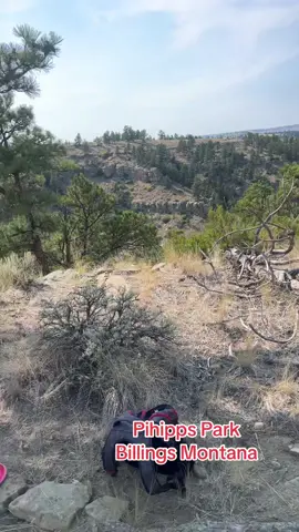 Disc golf with my son in Billings. This new course at Phipps is super fun but very difficult!