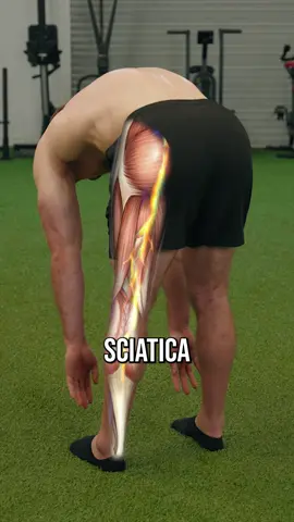 Want an easy program that fixes mobility, pain, and posture (like this) from head to toe + can be individualized to your body? Check out my Beginner Body Restoration program. Link in bio!