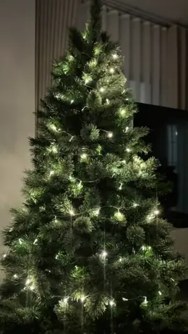 Pasko na, may decoration ka na ba sa bahay nyo? Eto na yun mii. Murang mura lang. #christmastree #chrismas2025 #christmasdecoration 