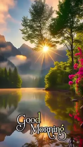 Good Morning Everyone ❤️❤️#viral #tiktokgoodmorning 