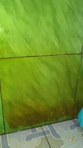 bersihin kerak jadi gampang banget kalo pake cairan yg warna pink ini  #premium #kerakmembandel #kamarmandi #toiletcleaner #pembersihkamarmandi 