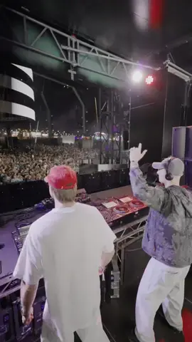 HALO #fyp #creamfields #prospa 