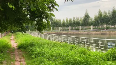 Đc hôm rảnh ra hồ chơi , tí thì anlon 🤣#xuhuong #viral #yz15 #yz15r_malaysia 