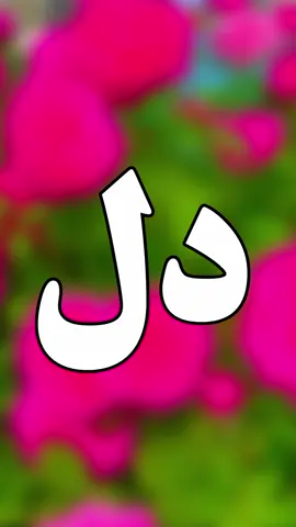 #تیڈے نال جڈنڑدا دل اڑ گئے💔😓😰🙏🙏#foryou#foryoupage #viral #video #grow #account #trending#videoviral #trendingvideo #saraiki__status #saraiki #saraikipoetry #tredingpoetry #poetrystatus #poetry #سرائیکی #سرائیکی_وسیب #سرائیکی_جنون #plzzzzzzz TikTok don't under view my video💔😓🙏#plzzzzzzzzz TikTok unfreeze my account😰💔🙏@احترام یار2.0 