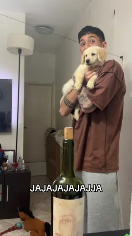 #fyp #humor #clashroyale #novio 