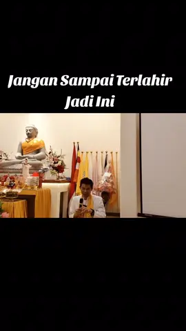 *Jangan Sampai Lahir Jadi Ini* Beruntung terlahir sebagai manusia, jangan sampai sia-siakan kesempatan ini.  Nikmati hidup dan  jangan pernah menyerah!  #bersyukur #hidup #manusia 
