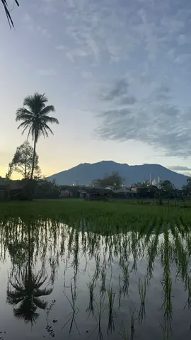 Terima kasih ❤️ #brownbear #someone #padangsumatrabarat #bukittinggi #vacationmode 
