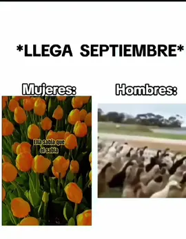 #septiembre 