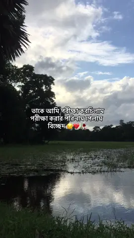 😅🥀💔 #creatorsearchinsights #creatorsearchinsights2025 #foryoupageofficiall❤️❤️tiktok #foryou 