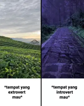 untuk nyata. #introvert #extrovert #relate #darkvibes #shedow 