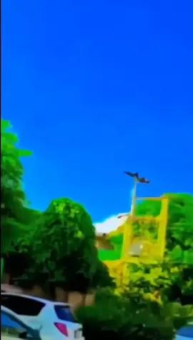 🥰🥰#🥰#😛😛😘#🙄🥰#🥰foryou😘😘