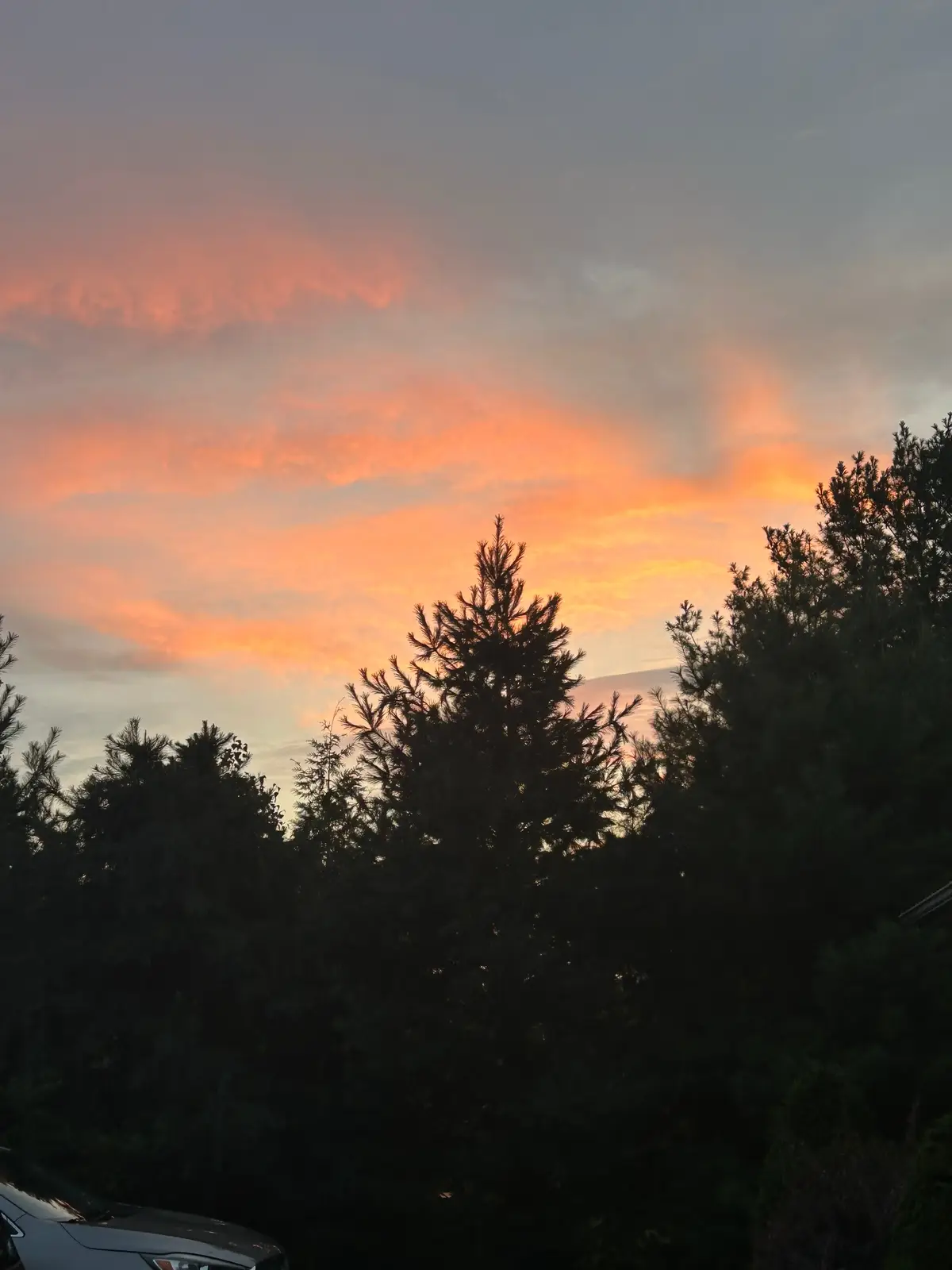 Summer is ending soon and school is tomorrow 😢🤩