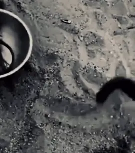 محد ولله يبقى لحد #kuwait #foryou #explore #قصيد #🪵