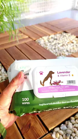MJ Pet Care Wipes ทิชชู่เปียก ผ้าเปียก หมา แมว 100 แผ่นใหญ่  #MJ #Pet #Care #Wipes  เพียร&แมว@เพียร&แมว @เพียร&แมว @เพียร&แมว 