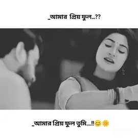 ভৃঙ্গরাজ 🌼🌼#choyti #2m #fyp #official髭男dism #vairalvideo 