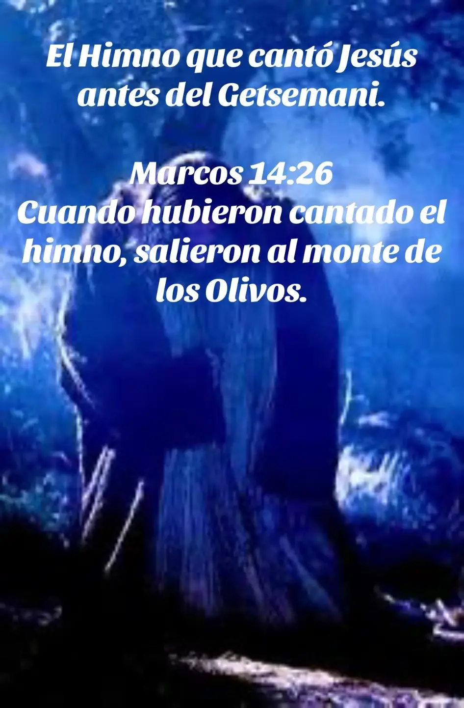 📖📖”Después, cuando hubieron cantado el himno, salieron al monte de los Olivos...