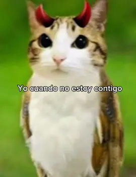 @^_^ te quiero siok? #meowl #parati #flop #fypシ゚ 