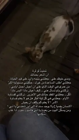 #fyp #fypシ゚ #baghdad #iraq #capcut 
