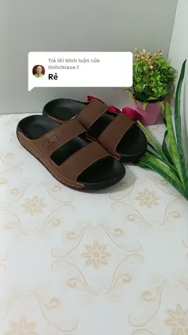 Trả lời @tinhchiase.1 Dạ❤️